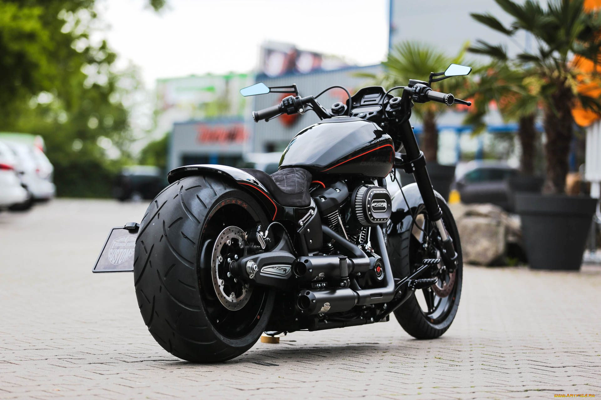 , , harley-davidson, , 